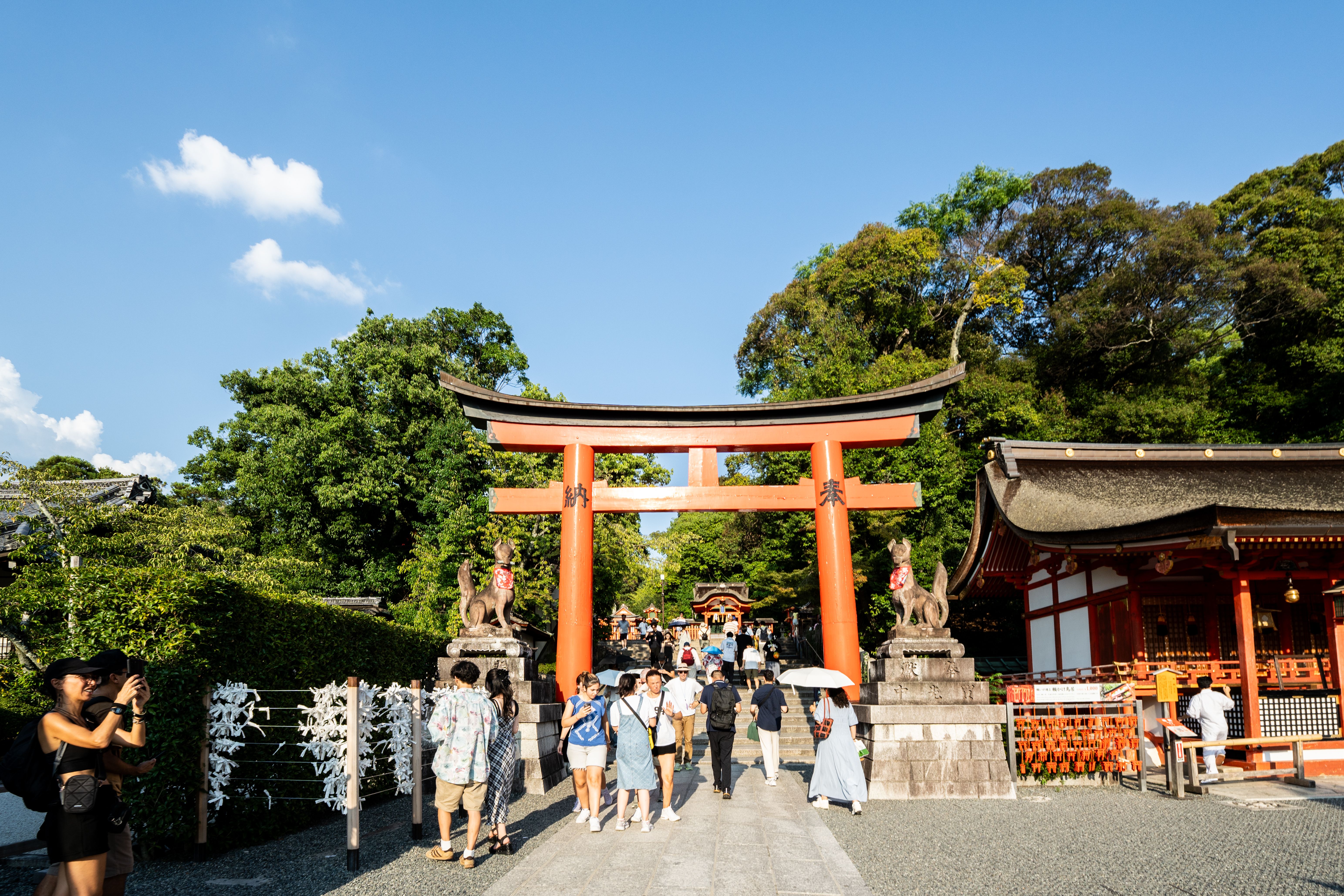 Fushimi Inari ao Amanhecer: os Mil Torii antes da Multidão Chegar