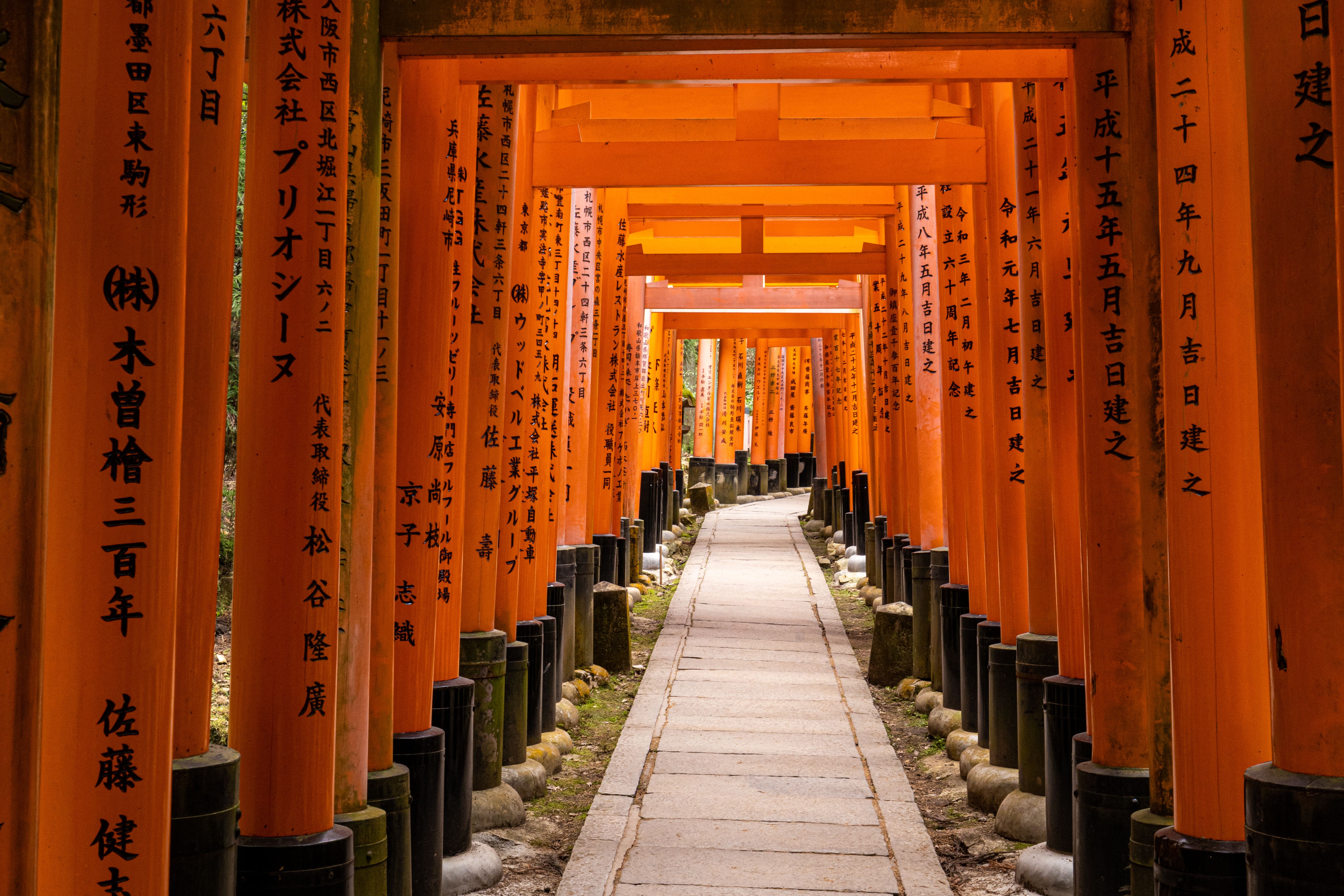 Fushimi Inari ao Amanhecer: os Mil Torii antes da Multidão Chegar