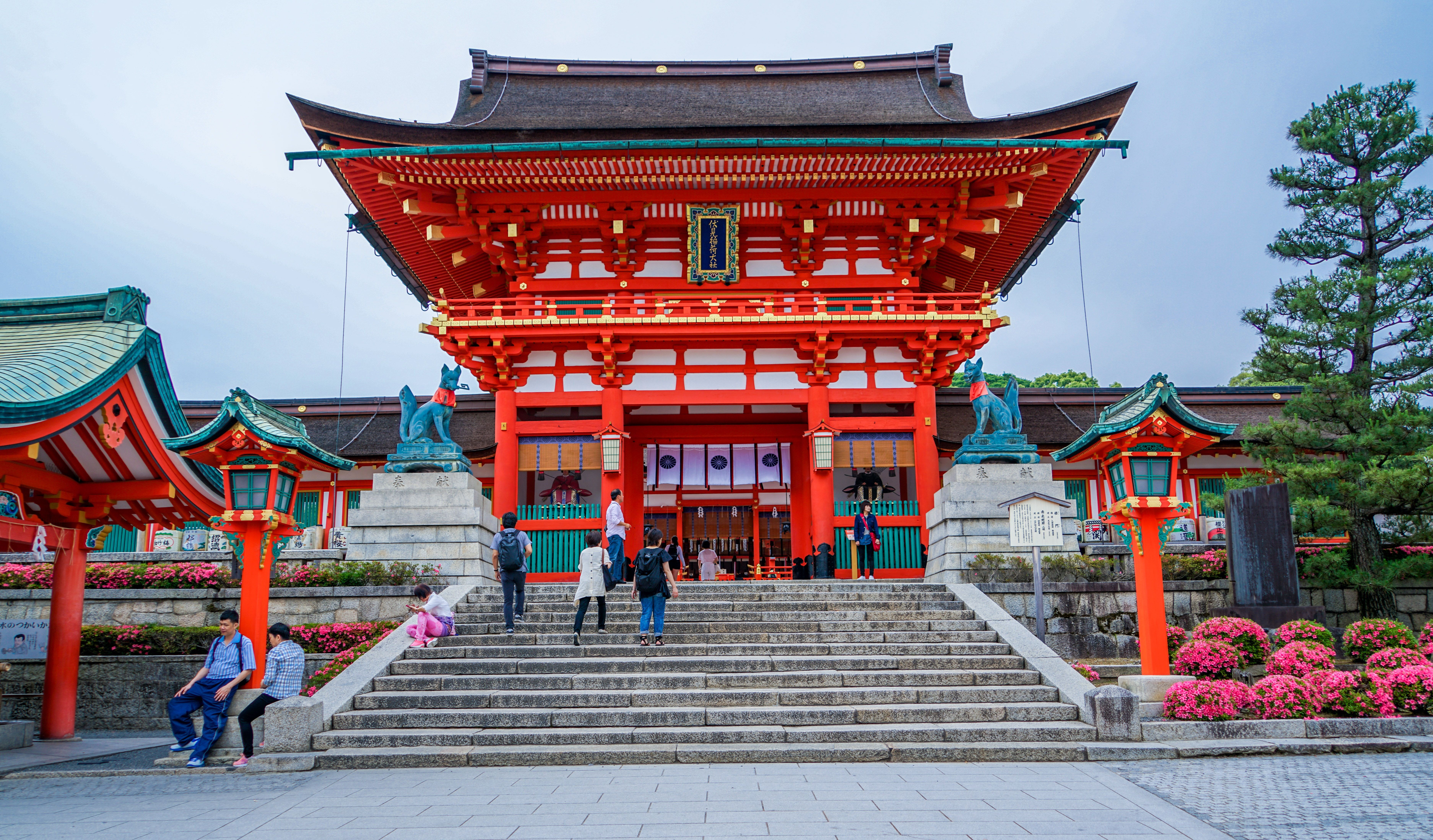 Fushimi Inari ao Amanhecer: os Mil Torii antes da Multidão Chegar