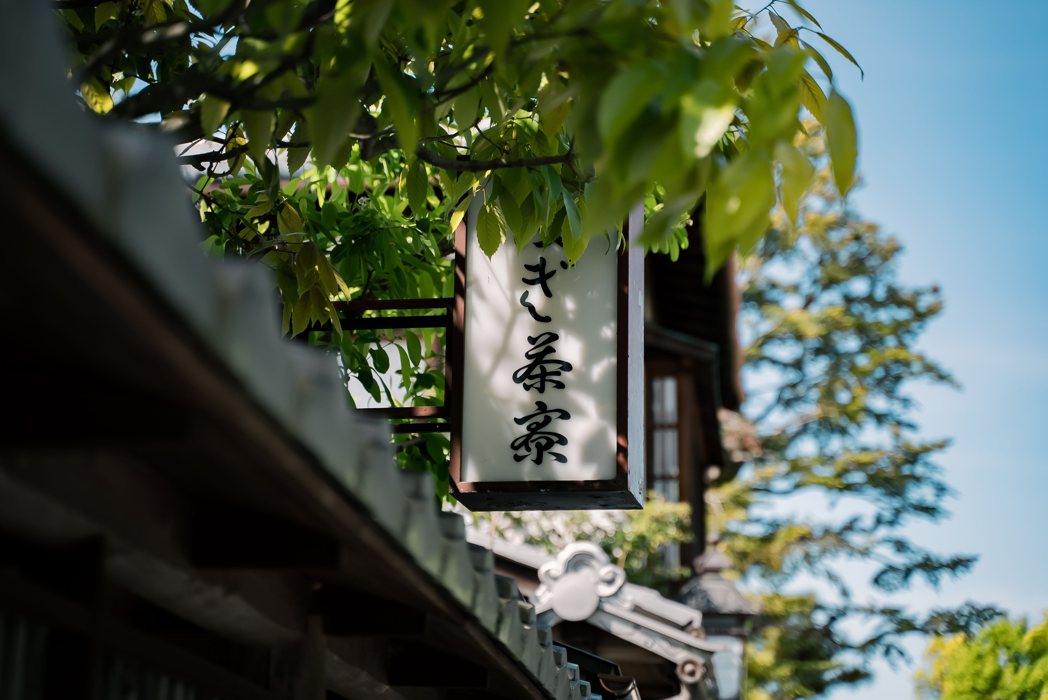 Mercado Nishiki em Kyoto: às 7h da manhã, quando o tofu ainda fuma e os feirantes ainda bocejam